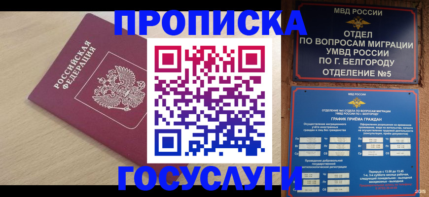 прописка законно в Полярном